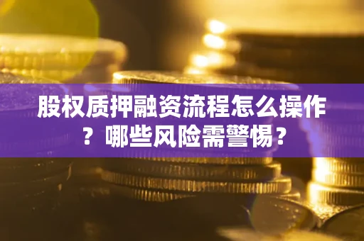 武汉股权质押融资流程怎么操作？哪些风险需警惕？