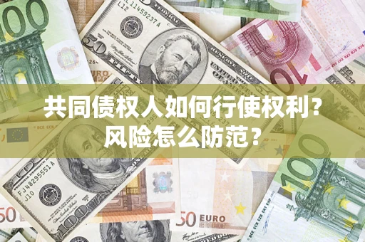 武汉共同债权人如何行使权利？风险怎么防范？