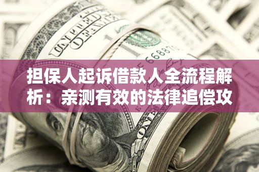 武汉担保人起诉借款人全流程解析：亲测有效的法律追偿攻略