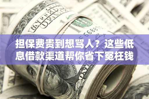 武汉担保费贵到想骂人？这些低息借款渠道帮你省下冤枉钱