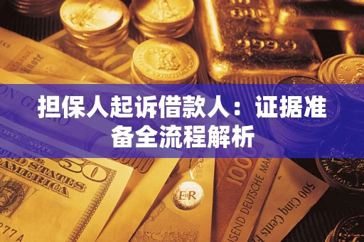 武汉担保人起诉借款人：证据准备全流程解析