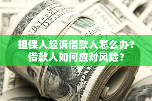 武汉担保人起诉借款人怎么办？借款人如何应对风险？
