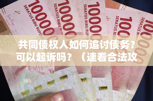 武汉共同债权人如何追讨债务？可以起诉吗？（速看合法攻略）