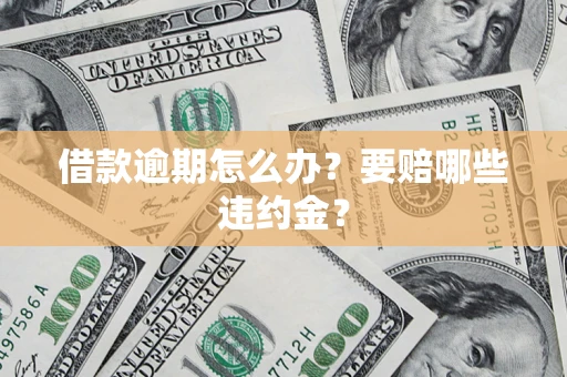 武汉借款逾期怎么办？要赔哪些违约金？